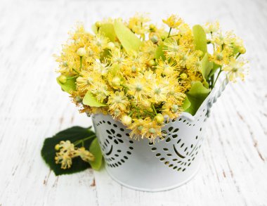 Ihlamur çiçek kova