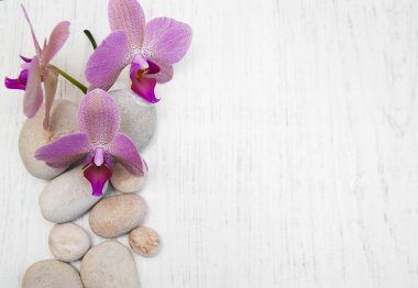 Orkide ve masaj taşlar