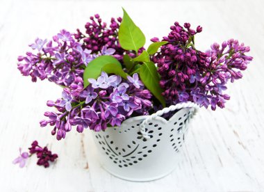 Bahar leylak çiçekleri