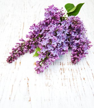 Bahar leylak çiçekleri