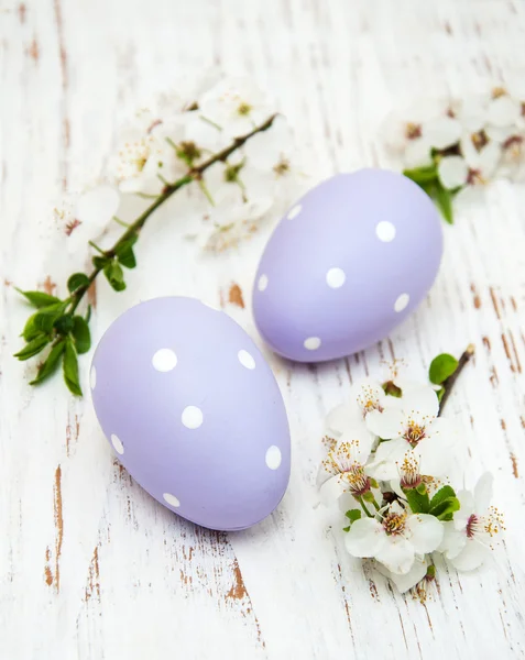 Huevos de Pascua y cerezas florecen — Foto de Stock