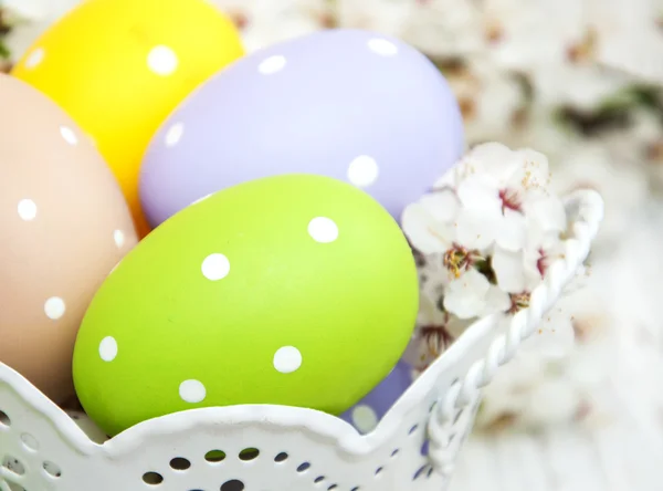 Huevos de Pascua y cerezas florecen — Foto de Stock