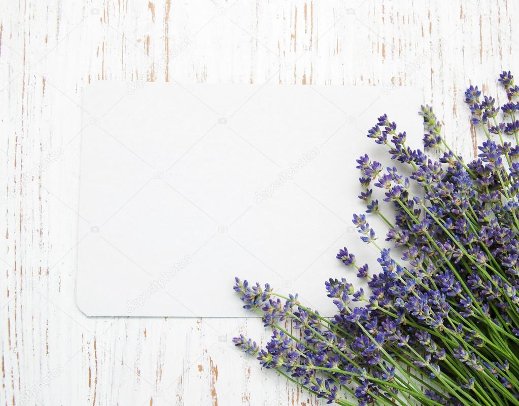 lavender flowers with card