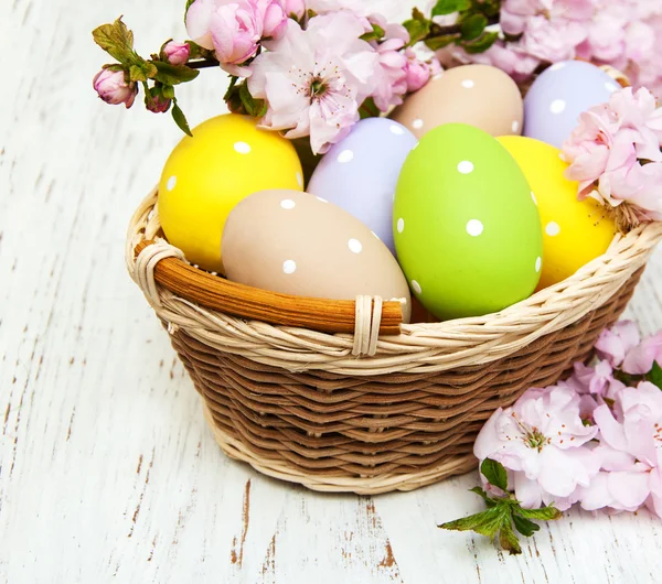 Easter eggs and cherries blossom — Stock Photo, Image