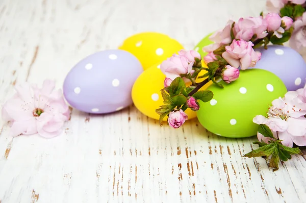 Huevos de Pascua y cerezas florecen — Foto de Stock