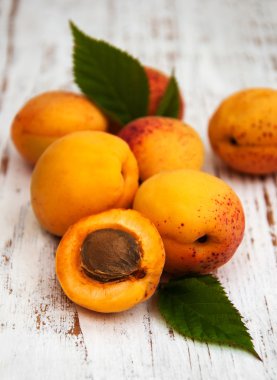 yaprakları taze kayısı