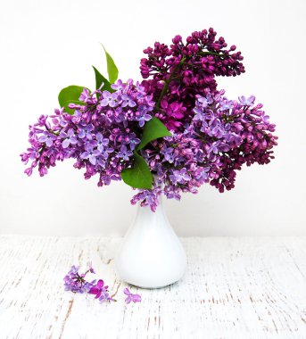 Bahar leylak çiçekleri