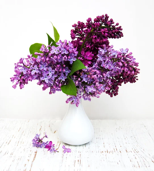 Spring Lilac flowers — Stock Photo, Image