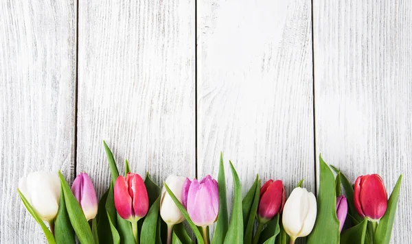 Bukett färska våren tulpaner — Stockfoto