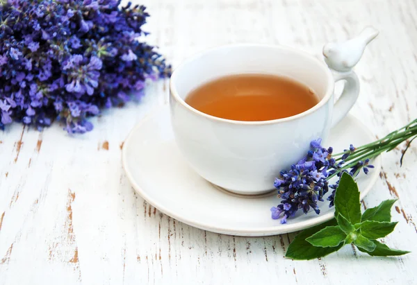 Cup of tea and lavender flowers — Stock Photo, Image