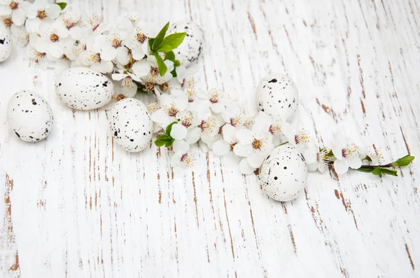Ovos de Páscoa e cerejas florescem — Fotografia de Stock