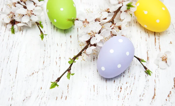 Paskalya yumurta ve kiraz çiçeği — Stok fotoğraf
