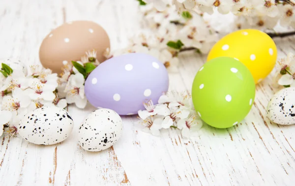 Huevos de Pascua y cerezas florecen — Foto de Stock