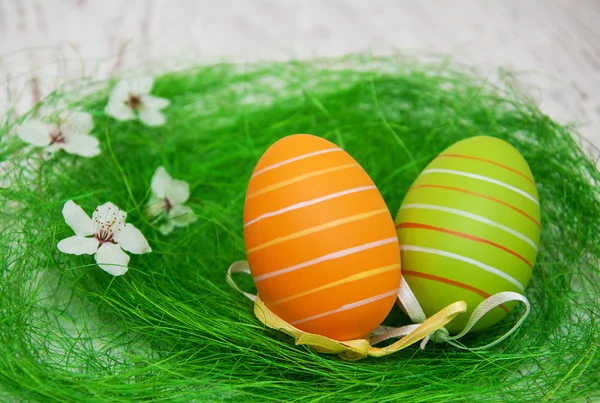 Huevos de Pascua y cerezas florecen — Foto de Stock