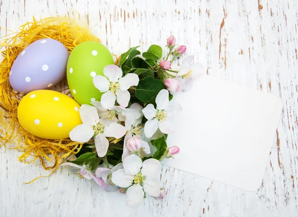 Nest with easter eggs — Stock Photo, Image