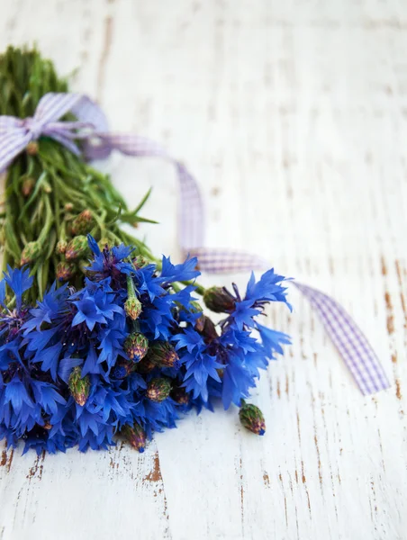 Summer blue cornflowers — Stock Photo, Image