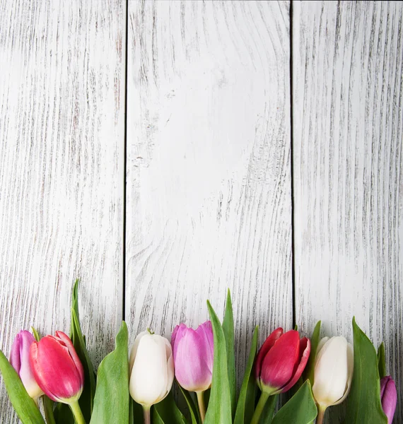 Boeket van verse lente tulpen — Stockfoto