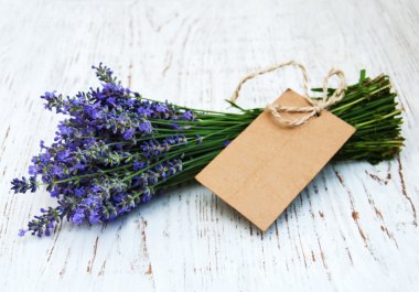 Lavanta çiçekleri etiketi ile