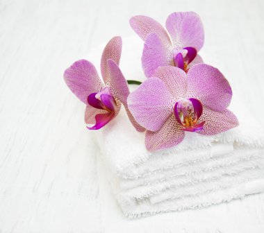 Orkide ve havlu