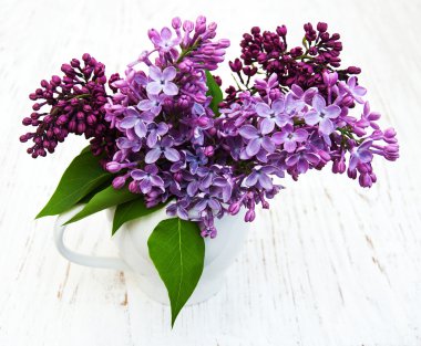 Bahar leylak çiçekleri