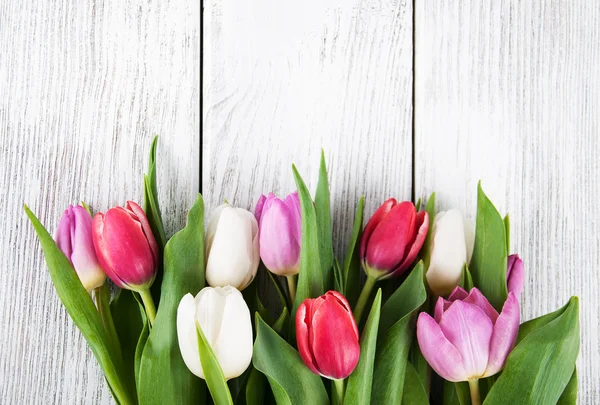 Bouquet of fresh spring tulips — Stock Photo, Image