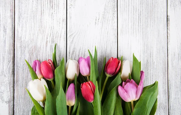 Bukett färska våren tulpaner — Stockfoto