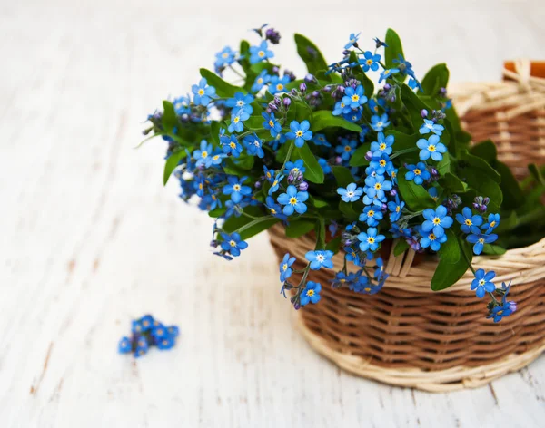 Forget me nots flowers — Stock Photo, Image