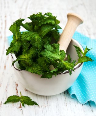 Harç ile yeşil nane 