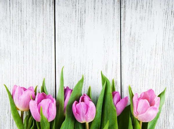 Bouquet of tulips — Stock Photo, Image