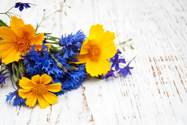 Голубые васильки и цветы космоса — стоковое фото