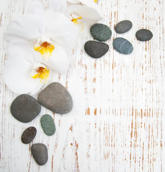 White orchids with massage stones — Stock Photo, Image