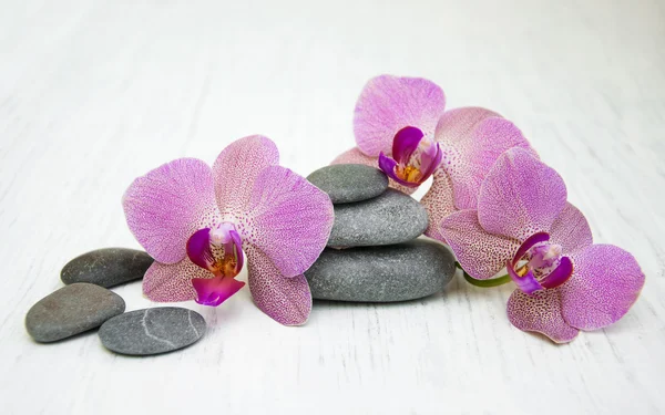 Orchidee e pietre per massaggi — Foto Stock