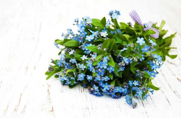 Forget me nots flowers — Stock Photo, Image