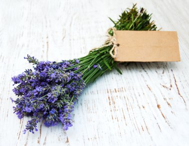 Lavanta çiçekleri etiketi ile