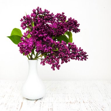 Bahar leylak çiçekleri