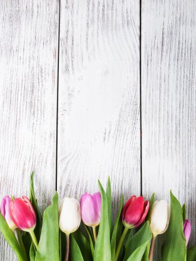 Taze bahar lalelerinden bir buket