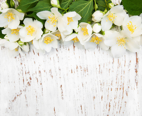 Border with jasmine flowers