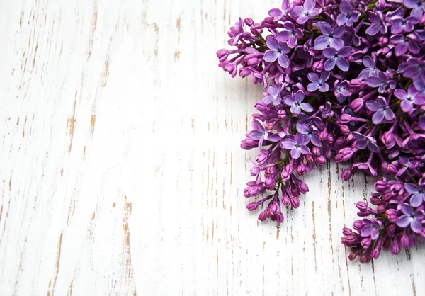 Lilac flowers on a table — Stock Photo, Image