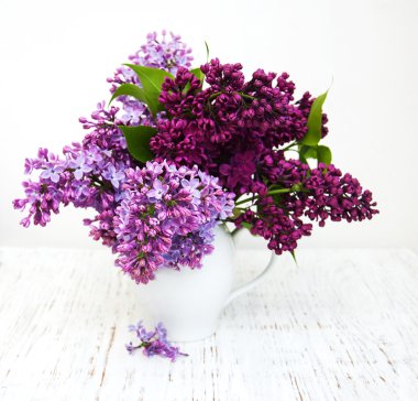 Bahar leylak çiçekleri