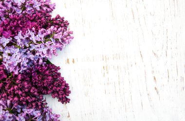 Bahar leylak çiçekleri