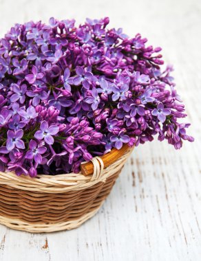 Bahar leylak çiçekleri