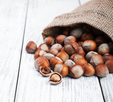 torba organik fındık