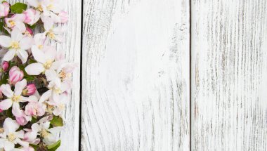 Bahar elma çiçeği