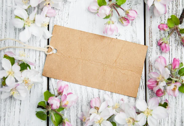 Apple blossoms with card — Stock Photo, Image