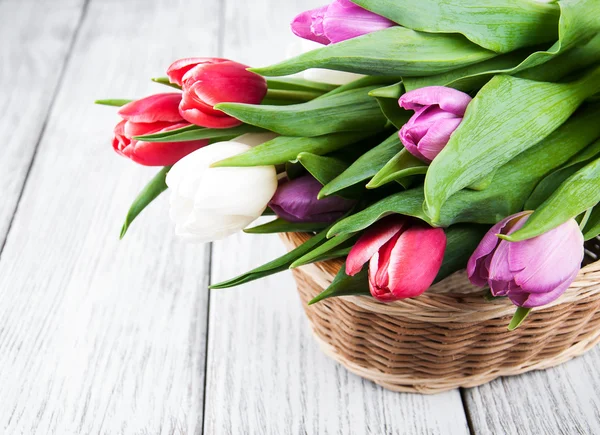 Bouquet of tulips — Stock Photo, Image