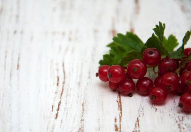 taze kırmızı kuş üzümü