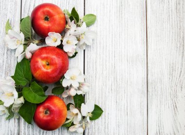 elma ve elma ağacı çiçekleri