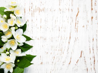 Yasemin çiçekleri ile sınır