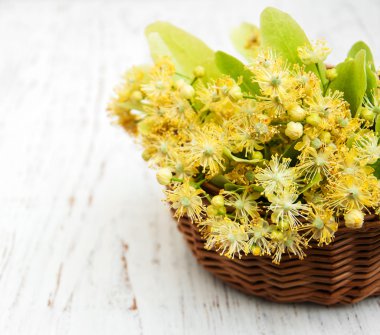 Bir masaya ıhlamur çiçek