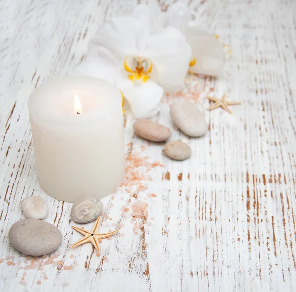 Mum, orcids ve taşlar